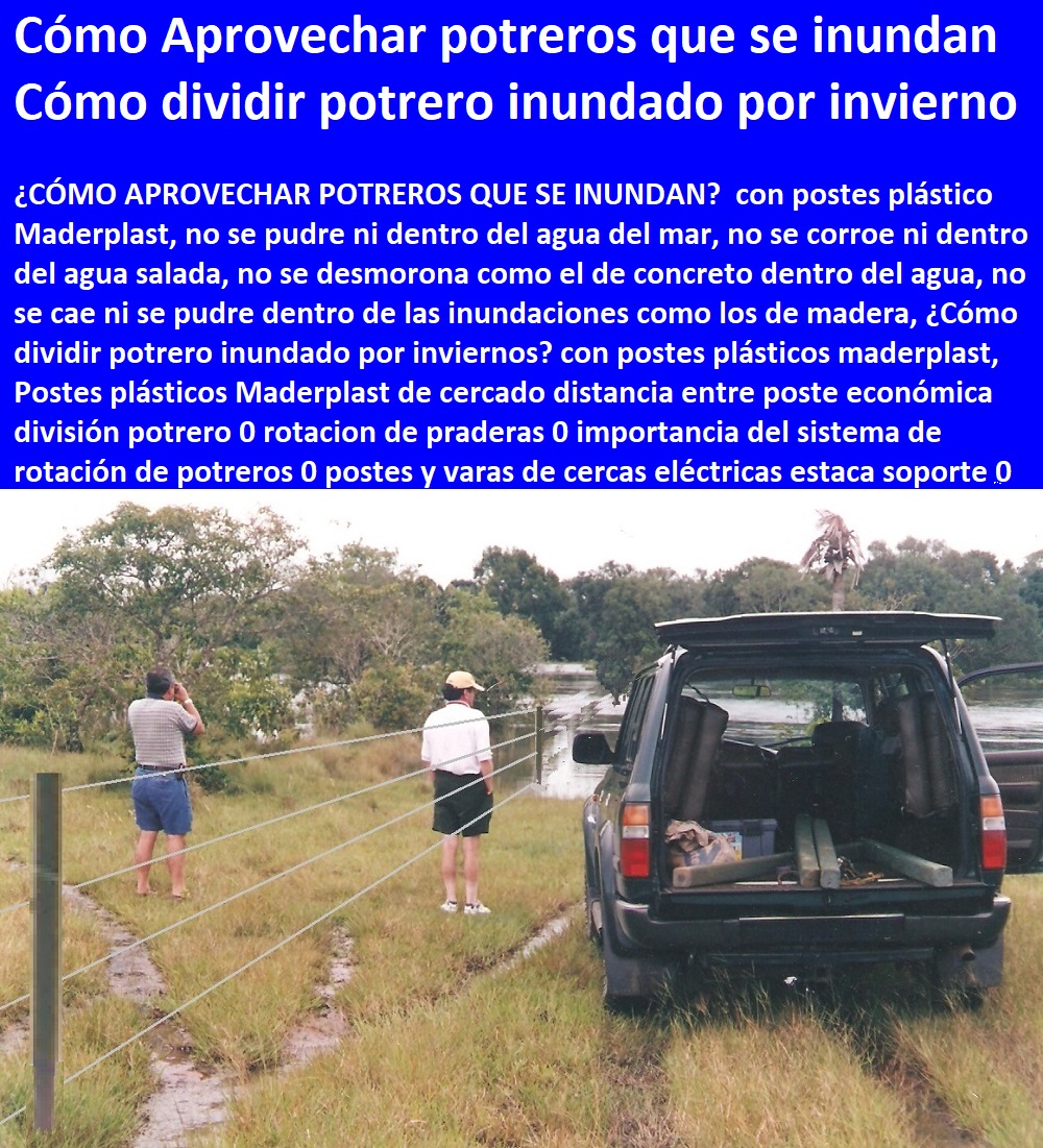 Postes plásticos Maderplast de cercado distancia entre poste económica división potrero 0 rotacion de praderas 0 importancia del sistema de rotación de potreros 0 postes y varas de cercas eléctricas estaca soporte 0 Postes plásticos Maderplast de cercado distancia entre poste económica división potrero 0 rotacion de praderas 0 importancia del sistema de rotación de potreros 0 postes y varas de cercas eléctricas estaca soporte 0 Postes plásticos Maderplast de cercado distancia entre poste económica división potrero 0 rotacion de praderas 0 importancia del sistema de rotación de potreros 0 postes y varas de cercas eléctricas estaca soporte 0